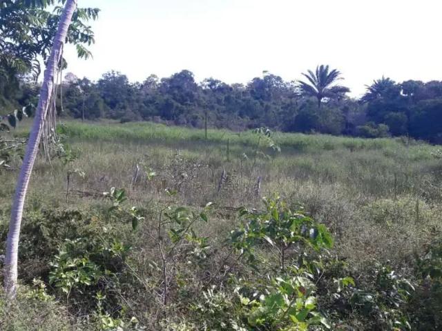 Fazenda venda em Região Geográfica Imediata de Salvador, Região Metropolitana de Salvador
