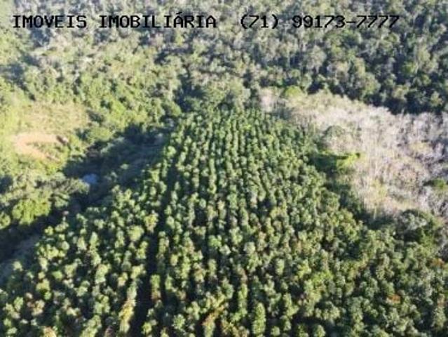 Fazenda venda em Camamu, Região Geográfica Intermediária de Santo Antônio de Jesus