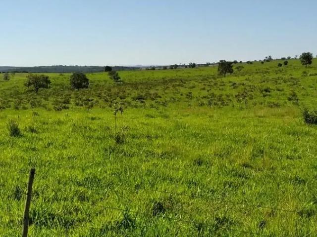 Fazenda venda em Região Geográfica Imediata de Campo Grande, Camapuã