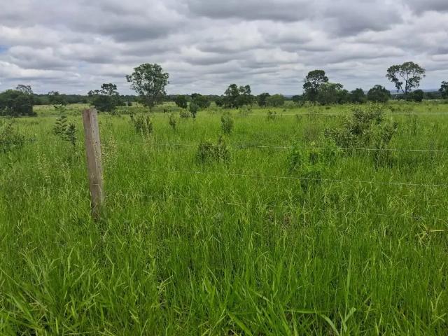 Fazenda venda em Região Geográfica Imediata de Campo Grande, Camapuã