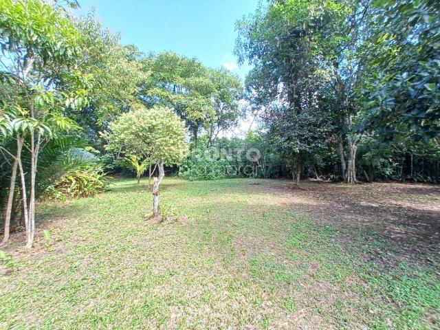 Fazenda venda em Aldeia dos Camarás, Camaragibe