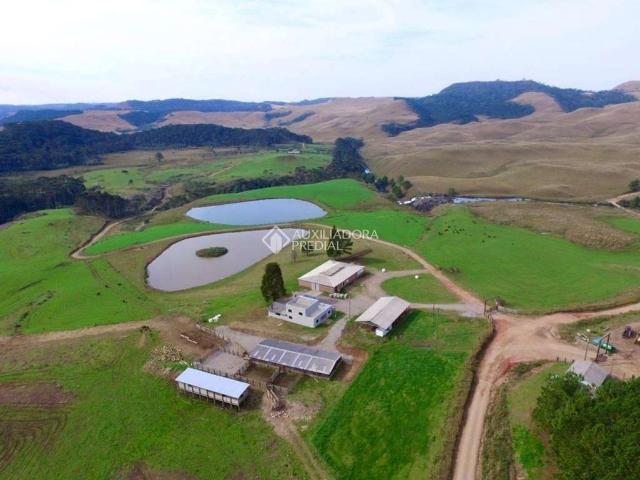Fazenda venda em Região Geográfica Imediata de Caxias do Sul, Cambara do Sul