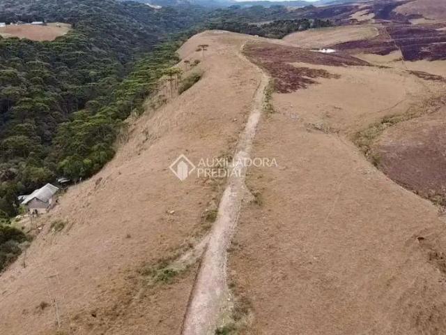 Fazenda venda em Região Geográfica Imediata de Caxias do Sul, Cambara do Sul