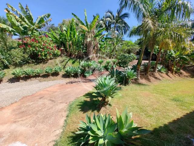 Fazenda venda em Região Geográfica Imediata de Londrina, Cambé