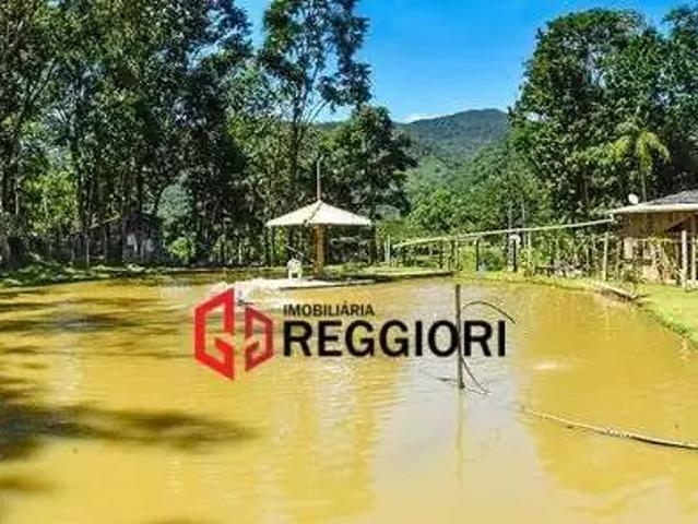 Fazenda venda em Região Geográfica Imediata de Itajaí, Camboriú