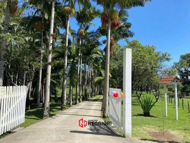 Fazenda venda em Região Geográfica Imediata de Itajaí, Camboriú