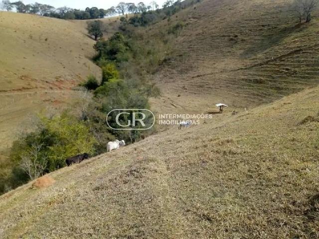 Fazenda venda em Região Geográfica Imediata de Pouso Alegre, Cambuí