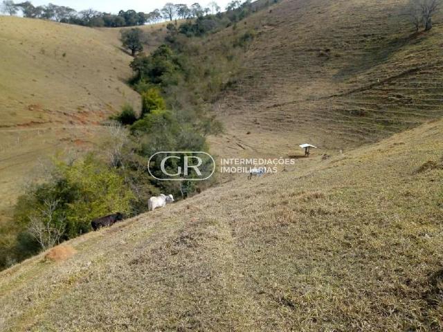 Fazenda venda em Cambuí, Região Geográfica Intermediária de Pouso Alegre
