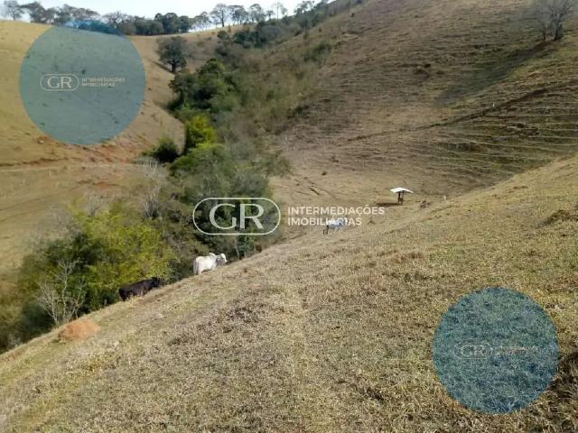 Fazenda venda em Região Geográfica Imediata de Pouso Alegre, Cambuí
