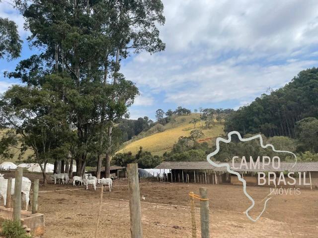 Fazenda venda em Centro, Cambuí