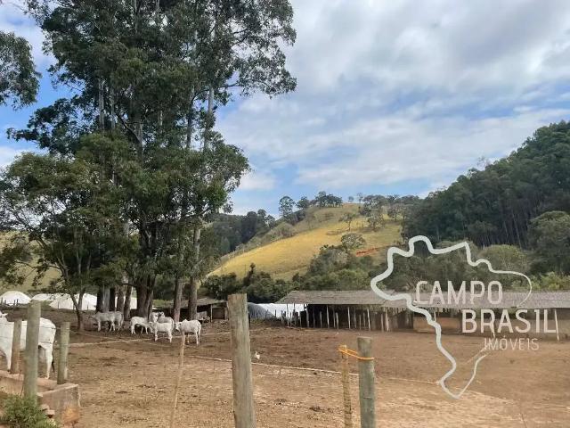 Fazenda venda em Região Geográfica Imediata de Pouso Alegre, Cambuí