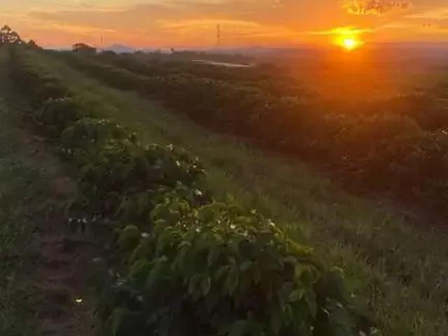 Fazenda venda em Região Geográfica Imediata de Três Corações, Campanha