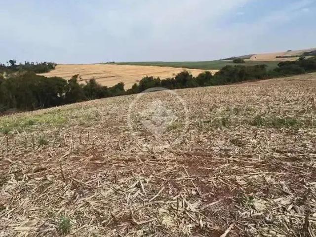 Fazenda venda em Região Geográfica Imediata de Campo Mourão, Campina da Lagoa