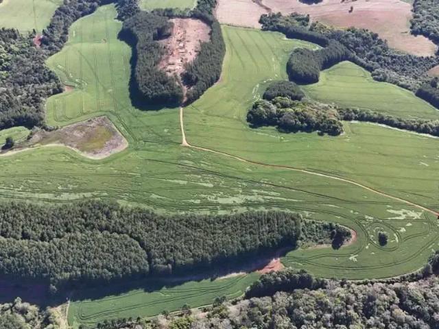 Fazenda venda em Região Geográfica Imediata de Guarapuava, Campina do Simão