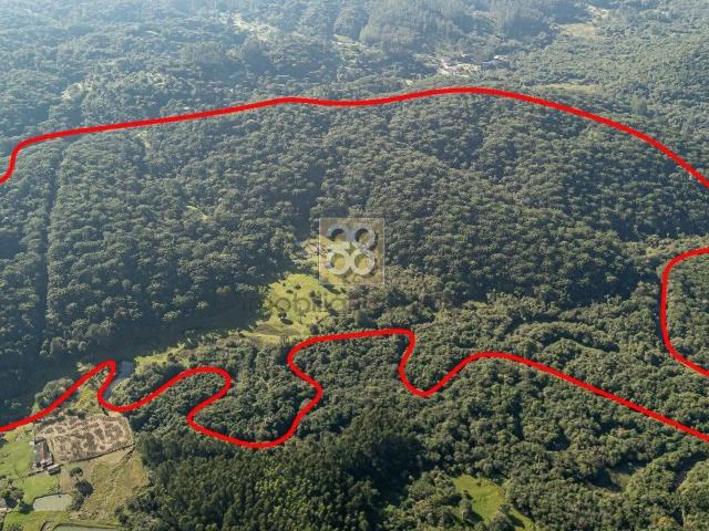 Fazenda venda em Campina Grande do Sul, Região Geográfica Intermediária de Curitiba