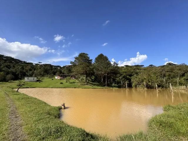 Fazenda venda em Região Geográfica Imediata de Curitiba, Região Metropolitana de Curitiba