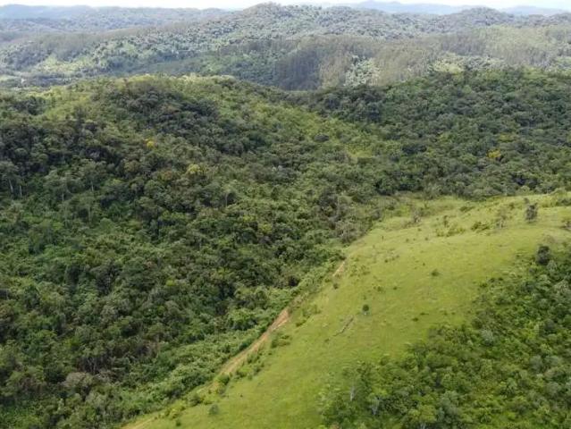 Fazenda venda em Região Geográfica Imediata de Curitiba, Região Metropolitana de Curitiba