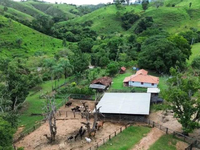 Fazenda venda em Região Geográfica Imediata de Porangatu, Campinaçu