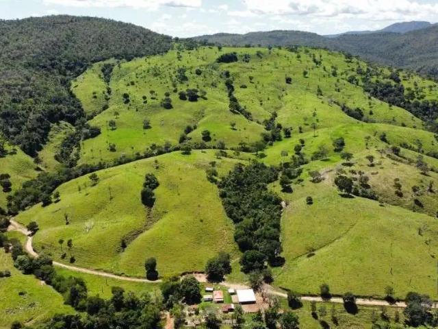 Fazenda venda em Região Geográfica Imediata de Porangatu, Campinaçu