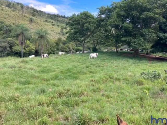 Fazenda venda em Região Geográfica Imediata de Porangatu, Campinaçu