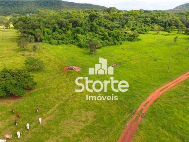 Sítio e chácara venda em Região Geográfica Imediata de Uberlândia, Campina Verde