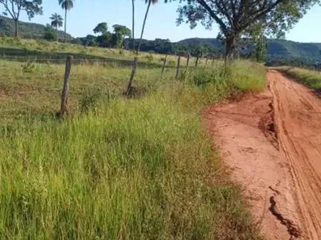 Fazenda venda em Região Geográfica Imediata de Uberlândia, Campina Verde