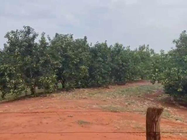 Fazenda venda em Região Geográfica Imediata de Uberlândia, Campina Verde