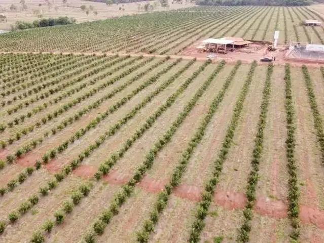 Fazenda venda em Região Geográfica Imediata de Uberlândia, Campina Verde