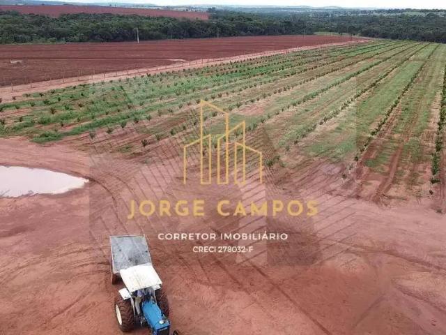 Fazenda venda em Região Geográfica Imediata de Uberlândia, Campina Verde