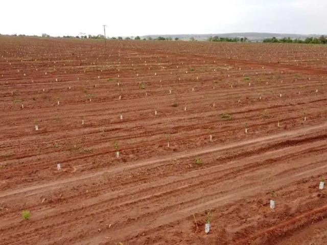 Fazenda venda em Região Geográfica Imediata de Uberlândia, Campina Verde