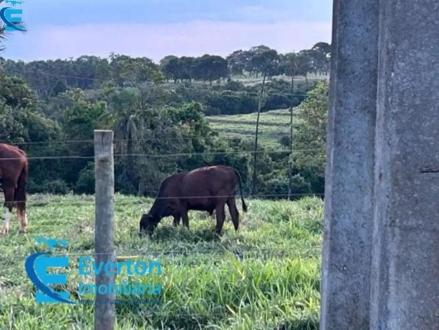 Fazenda venda em Região Geográfica Imediata de Uberlândia, Campina Verde