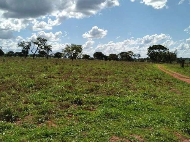 Fazenda venda em Região Geográfica Imediata de Uberlândia, Campina Verde