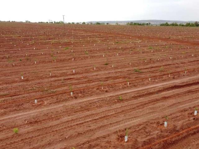 Fazenda venda em Região Geográfica Imediata de Uberlândia, Campina Verde