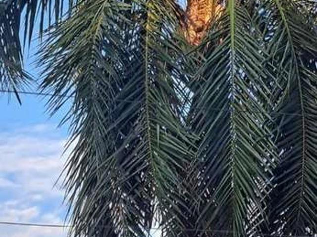 Fazenda venda em Região Geográfica Imediata de Uberlândia, Campina Verde