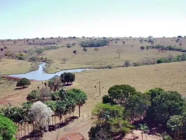 Fazenda venda em Região Geográfica Imediata de Araguaína, Campos Lindos