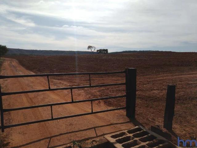 Fazenda venda em Região Geográfica Imediata de Uberlândia, Campina Verde