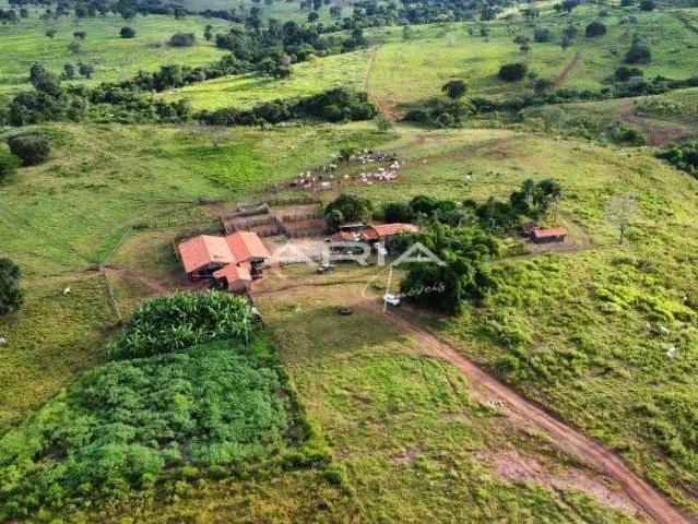 Fazenda venda em Fazenda do Nivaldo, Campinápolis
