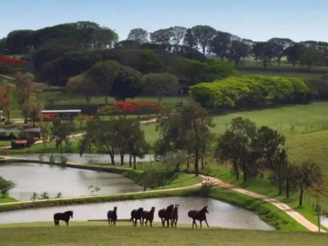 Fazenda venda em Região Imediata de Campinas, Região Metropolitana de Campinas