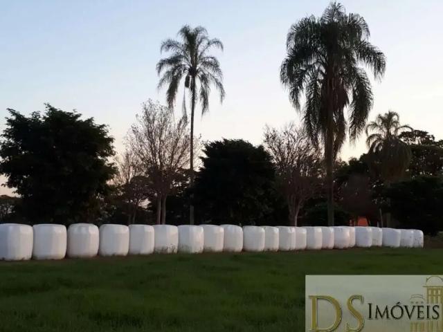 Fazenda venda em Região Imediata de Campinas, Região Metropolitana de Campinas