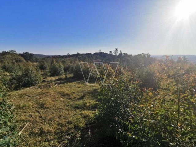 Fazenda venda em Região Imediata de Campinas, Região Metropolitana de Campinas