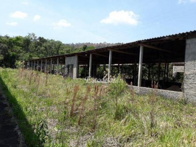 Sítio e chácara venda em Região Imediata de Itapetininga, Guareí
