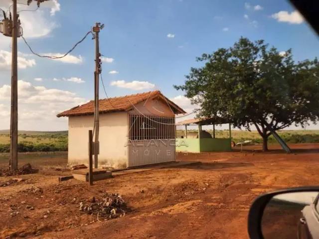 Fazenda venda em Região Geográfica Imediata de Uruaçu - Niquelândia, Campinorte