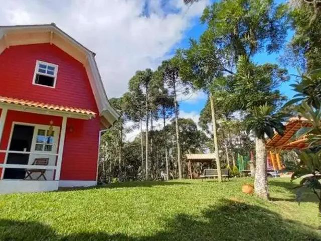 Fazenda venda em Região Geográfica Imediata de São Bento do Sul-Rio Negrinho, Campo Alegre