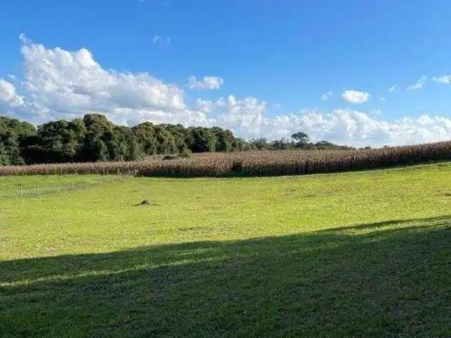 Fazenda venda em Região Geográfica Imediata de São Bento do Sul-Rio Negrinho, Campo Alegre