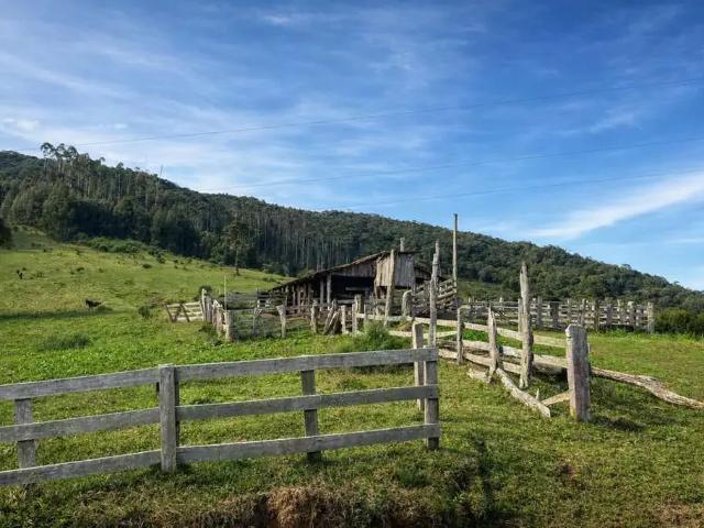 Fazenda venda em Região Geográfica Imediata de São Bento do Sul-Rio Negrinho, Campo Alegre