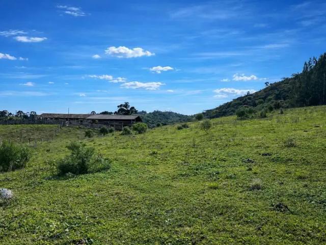 Fazenda venda em Região Geográfica Imediata de São Bento do Sul-Rio Negrinho, Campo Alegre