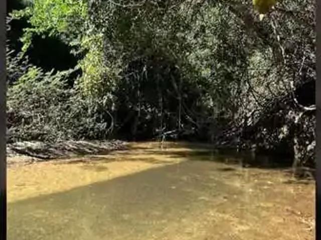 Fazenda venda em Região Geográfica Imediata de Montes Claros, Campo Azul