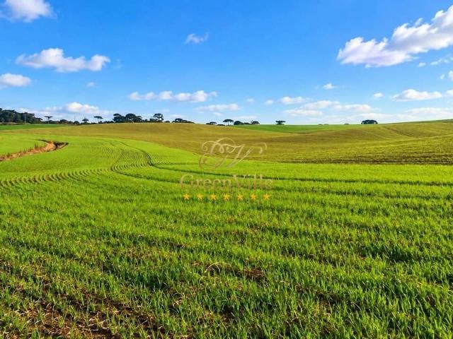Fazenda venda em Vila Brasília, Mandirituba