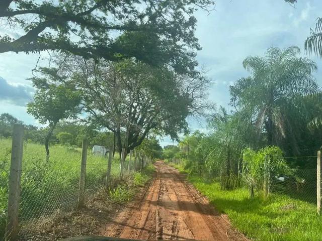 Fazenda venda em Região Geográfica Imediata de Campo Grande, Campo Grande