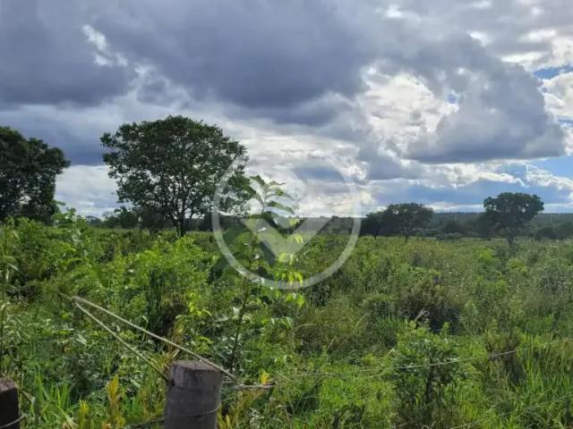 Fazenda venda em Região Geográfica Imediata de Campo Grande, Campo Grande